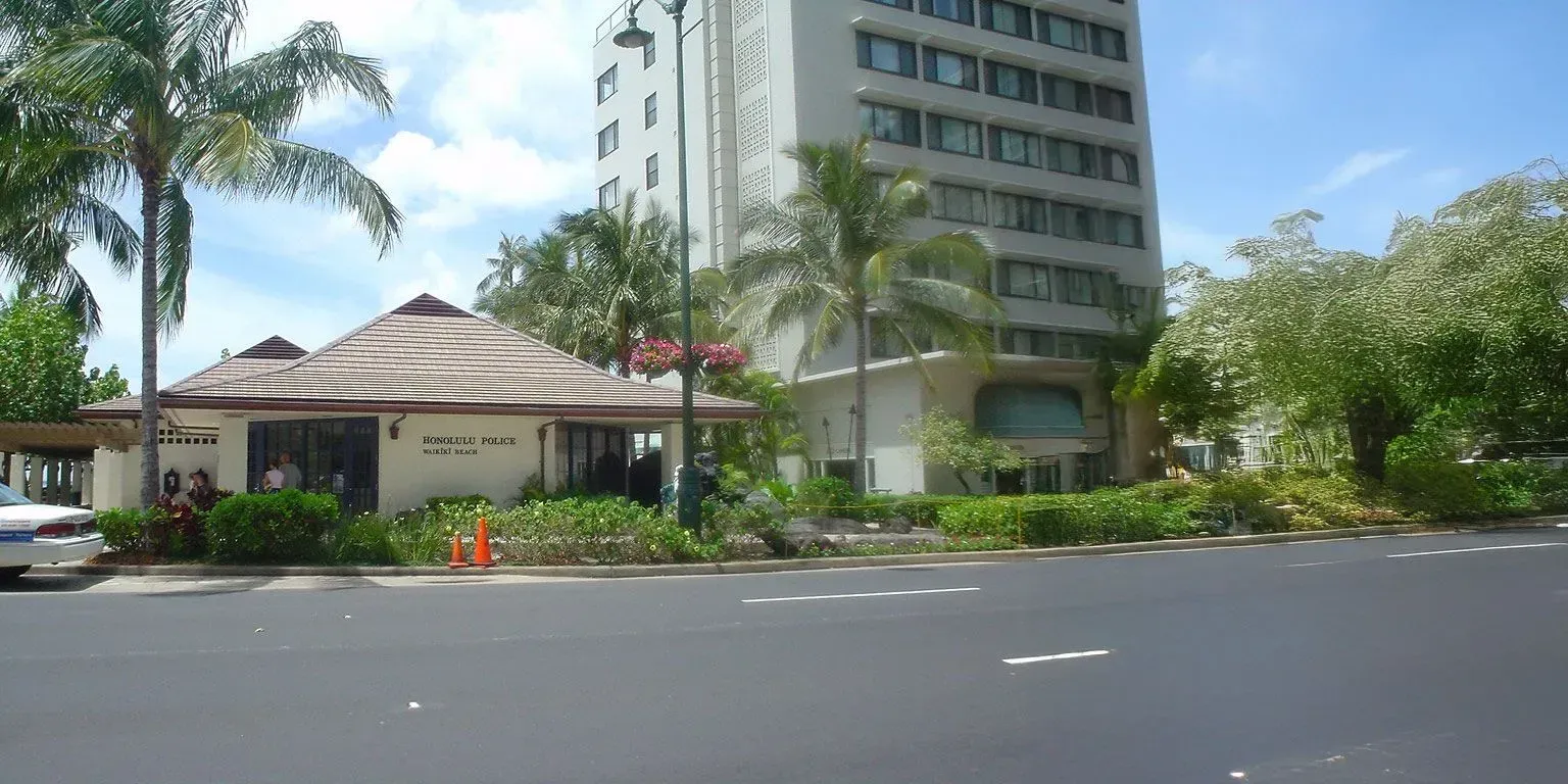 A building with a lot of windows is surrounded by palm trees